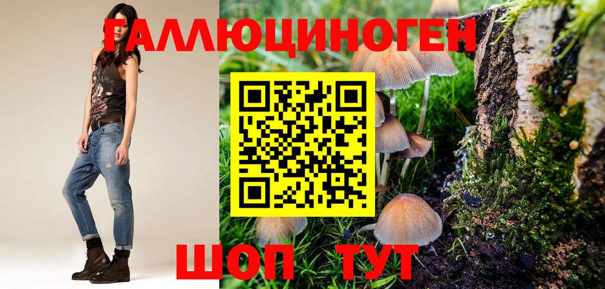 Кимры  Галлюциногенные грибы мухоморы  Вход с VPN 